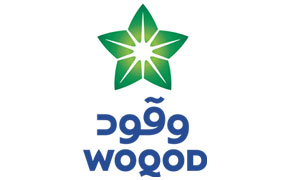 QFLSLogo